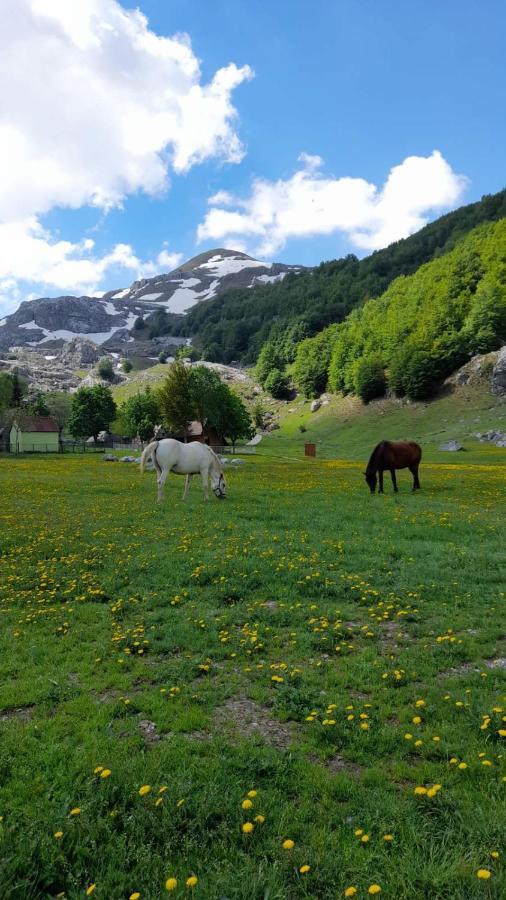 Katun Mokra Accommodation & Horseback Riding Podgorica Exterior foto