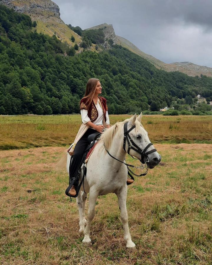 Katun Mokra Accommodation & Horseback Riding Podgorica Exterior foto