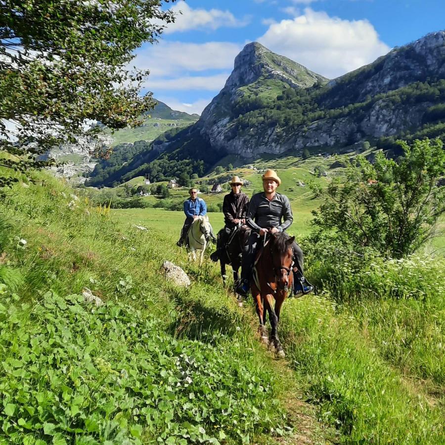 Katun Mokra Accommodation & Horseback Riding Podgorica Exterior foto