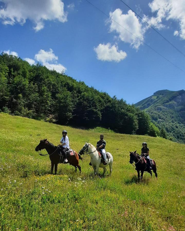 Katun Mokra Accommodation & Horseback Riding Podgorica Exterior foto