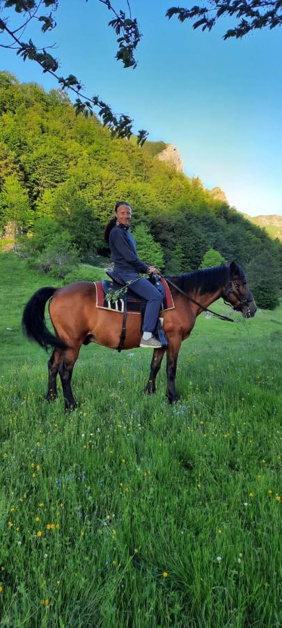Katun Mokra Accommodation & Horseback Riding Podgorica Exterior foto