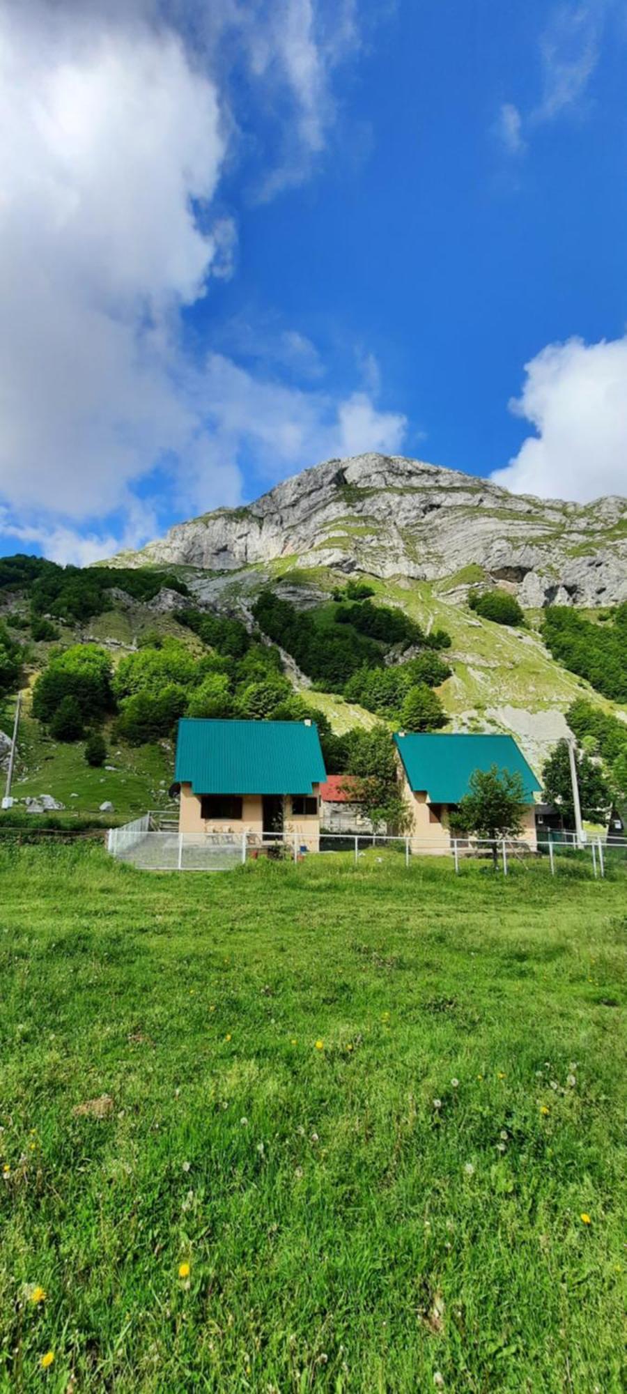 Katun Mokra Accommodation & Horseback Riding Podgorica Exterior foto